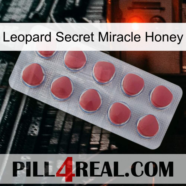 Leopard Secret Miracle Honey 18.jpg